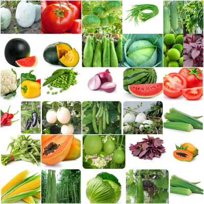 abiswas 40 Variety Vegetable Seeds Combo Pack Seed(3200 per packet)