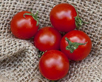Biosnyg Fast Growing Sweet Aperitif Cherry Tomato Seeds For Gardening - (4000 Seeds) Seed(4000 per packet)
