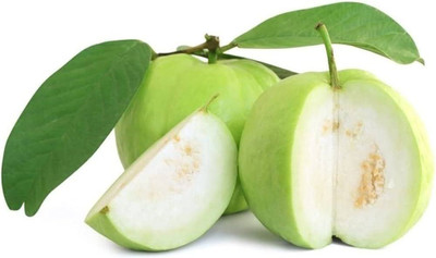 BJUBAS Guava Fruit seed PACK OF 57 Seed(57 per packet)