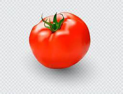 XOLDAA hybrid f1 quality tomato seeds Seed(35 per packet)