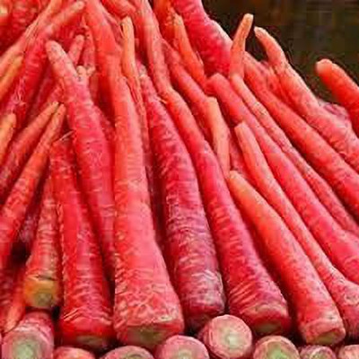 KANAYA Carrot / Gajar Seed(350 per packet)