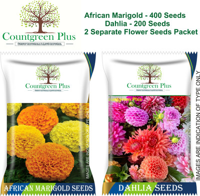 Countgreen Plus African Marigold - 400 Seed & Dahlia Flower - 200 Seeds Combo Separate Pack Seed(100 per packet)