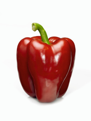 VASUDHA Capsicum Red (Shimla Mirch) / शिमला मिर्च लाल Seed(500 per packet)