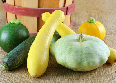 KNESSiN Summer Squash (Mixed In One Pack- Not Seperrated) [100 Seeds] Seed(100 per packet)