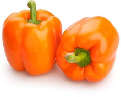 Aywal शिमला मिर्च Capsicum/Shimla Mirch Seed(360 per packet)