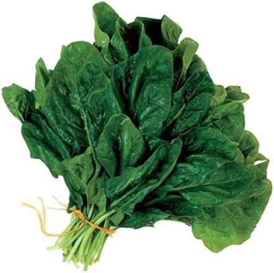 KNESSiN Spinach Seeds Vegetable Salad Leaves Seed(200 per packet)