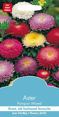 CYBEXIS Flower - Aster Pompon mixed Seed(50 per packet)