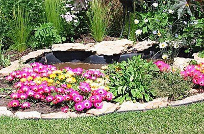 KANAYA Ice Mix Colors Seeds F1 Hybrid Seeds For Home Gardening Seed(44 per packet)
