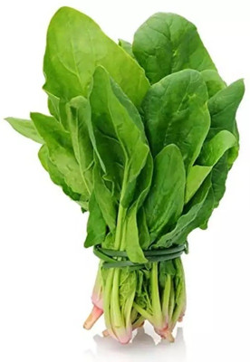 MYLAWN Spinach Seed(2000 per packet)