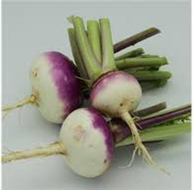 TRICONE Turnip Seed(100 per packet)