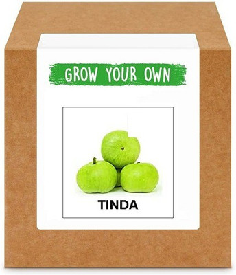 CYBEXIS Tinda/Apple Gourd-100 Seeds Seed(100 per packet)