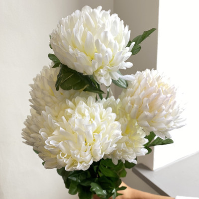 Mozette Exotic chrysanthemum white Seed(20 per packet)