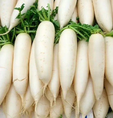 VINTI White Radish (Mooli) Vegetable (मूली के बीज) Seed(2000 per packet)