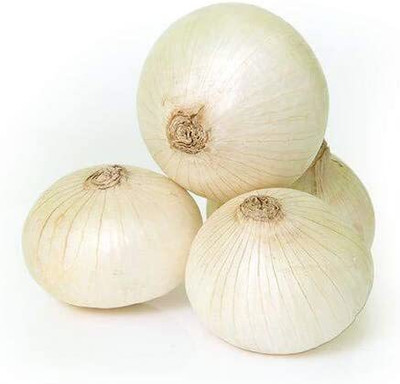 CYBEXIS Large White Onion Seeds2000 Seeds Seed(2000 per packet)