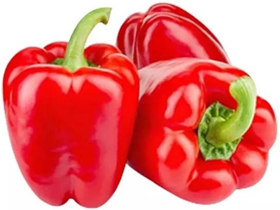 Kirat Capsicum Red Organic Seed(100 per packet)
