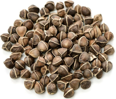 VibeX TLX-7 - Organic Moringa Premium Quality - (1350 Seeds) Seed(1350 per packet)