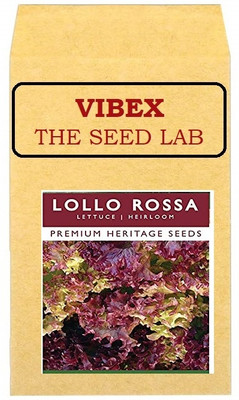 CYBEXIS Lettuce Lollo Rossa Hybrid Seeds4000 Seeds Seed(4000 per packet)