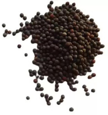 MAA Cabbage Seed(150 per packet)
