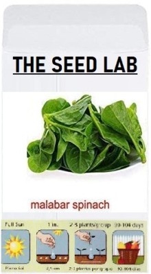 KNESSiN FXD-11 Spinach Malabar Seed(50 per packet)