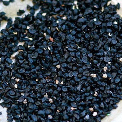 WILLVINE XLR-1278 Onion Nasik Red,Light Red Gwaran,White Onion Seeds-3000 Seeds Seed(3000 per packet)