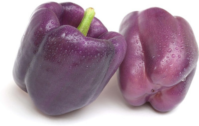 Qualtivate HYB-7A Capsicum Purple / Bell Papper F1 Hybrid Seeds Seed(100 per packet)