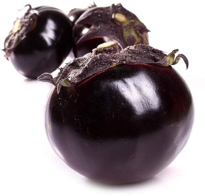 Aywal Brinjal Purple Round F1 Hybrid Seed(5 g)