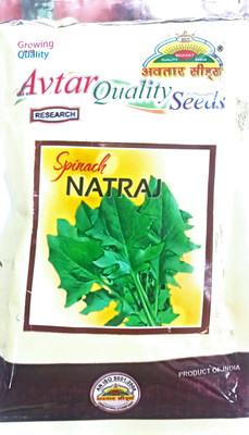 KRASHAK Desi Palak Seed(2 per packet)