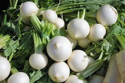 MYLAWN White Ball Turnip/Shalgam Seed(800 per packet)