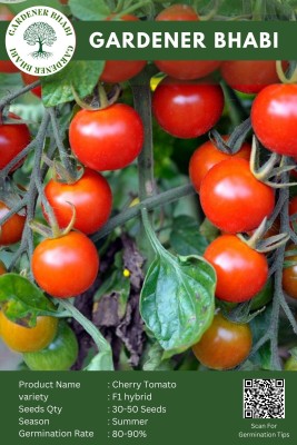 Gardener Bhabi Cherry Tomato F1 Hybrid Vegetable Seeds For KItchen Garden Seed(30 per packet)