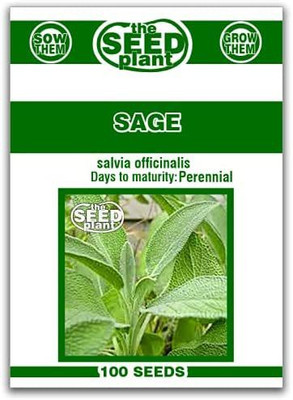CYBEXIS GBPUT-44 - Sage Herb - (1350 Seeds) Seed(1350 per packet)