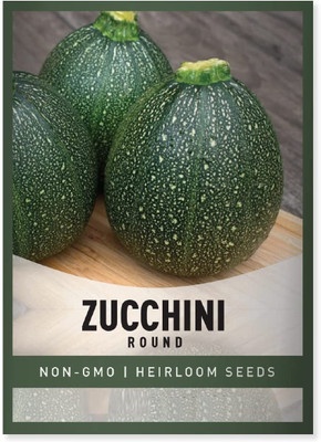 Biosnyg Zucchini Round Seed(250 per packet)
