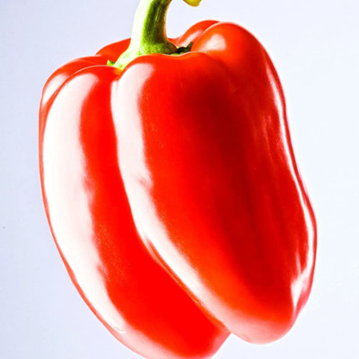 VibeX NDIR-68 - Hybrid Red Capsicum - (150 Seeds) Seed(150 per packet)