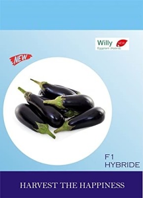 Qualtivate EXL-4AT WILLY brinjal f1 hybrid vegetable Seed(300 per packet)