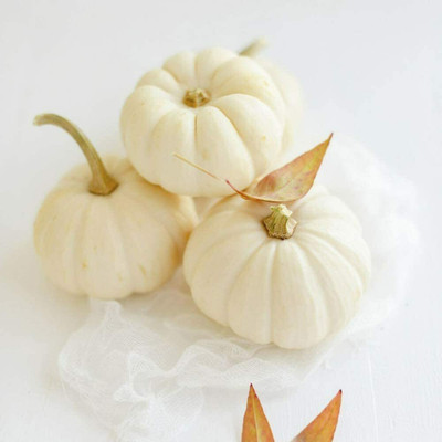 CYBEXIS White Pumpkin Seeds Fresh Squash Vegetable100 Seeds Seed(100 per packet)