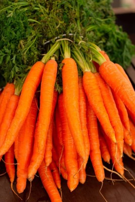 VibeX Vegetable Carrot Orange(नारंगी गाजर) seeds For Gardening Winter (5000 Seeds) Seed(5000 per packet)