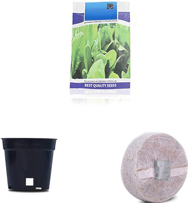 VibeX CBZ-53-Palak/Spinach F1 Hybrid Combo with Potter & Rootplug Seed(35 per packet)