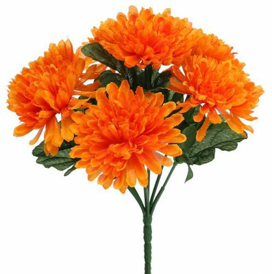 Mozette Exotic chrysanthemum Seed(41 per packet)