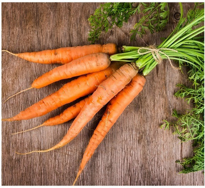 Quentova Gaajar Orange Carrot Vegetable-10P-PUAS Seed(300 per packet)