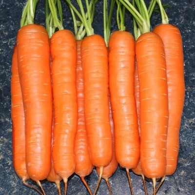 VibeX XLL-1 - Carrot - Yaya Organic - (2250 Seeds) Seed(2250 per packet)