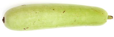 WILLVINE Fast germination Bottle Gourd Hybrid Seed-[100 Seeds] Seed(100 per packet)