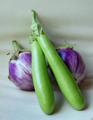 KNESSiN Long Green Japanese Brinjal Seeds-[10gm] Seed(2000 per packet)