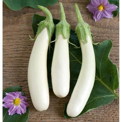 Aywal White Long Begun Seed(25 per packet)