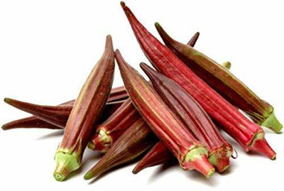 KANAYA Okra Bhindi Hybrid Seed(425 per packet)