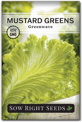 CYBEXIS PUAS-60 - Greenwave Mustard Greens - (2250 Seeds) Seed(2250 per packet)