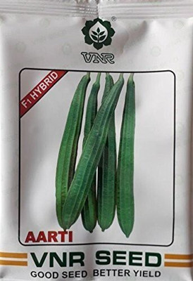 Pbevergreen Ridge Gourd Seed(60 per packet)