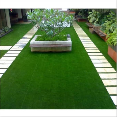 GREENSEA Lawn Grass/Bermuda Grass/Carpet Grass Seed(4500 per packet)