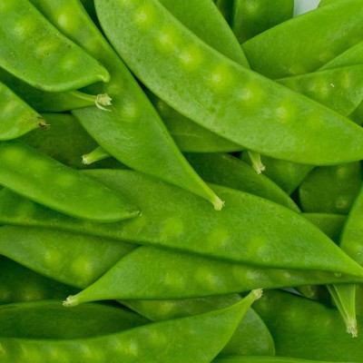 VibeX ® VMR-100 Mammoth Melting Snow Pea Seeds Seed(50 per packet)