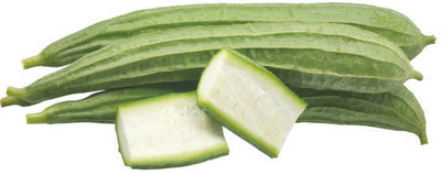 Paudhaa F1 best quality RIDGE GOURD Seed(20 per packet)