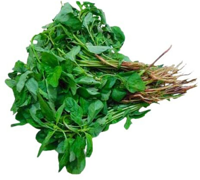Qualtivate RES-4A Cholai Saag (Green Amaranthus) Seed(300 per packet)