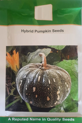 Qualtivate ICRA-9A Hybrid Pumpkin Seeds Seed(50 per packet)